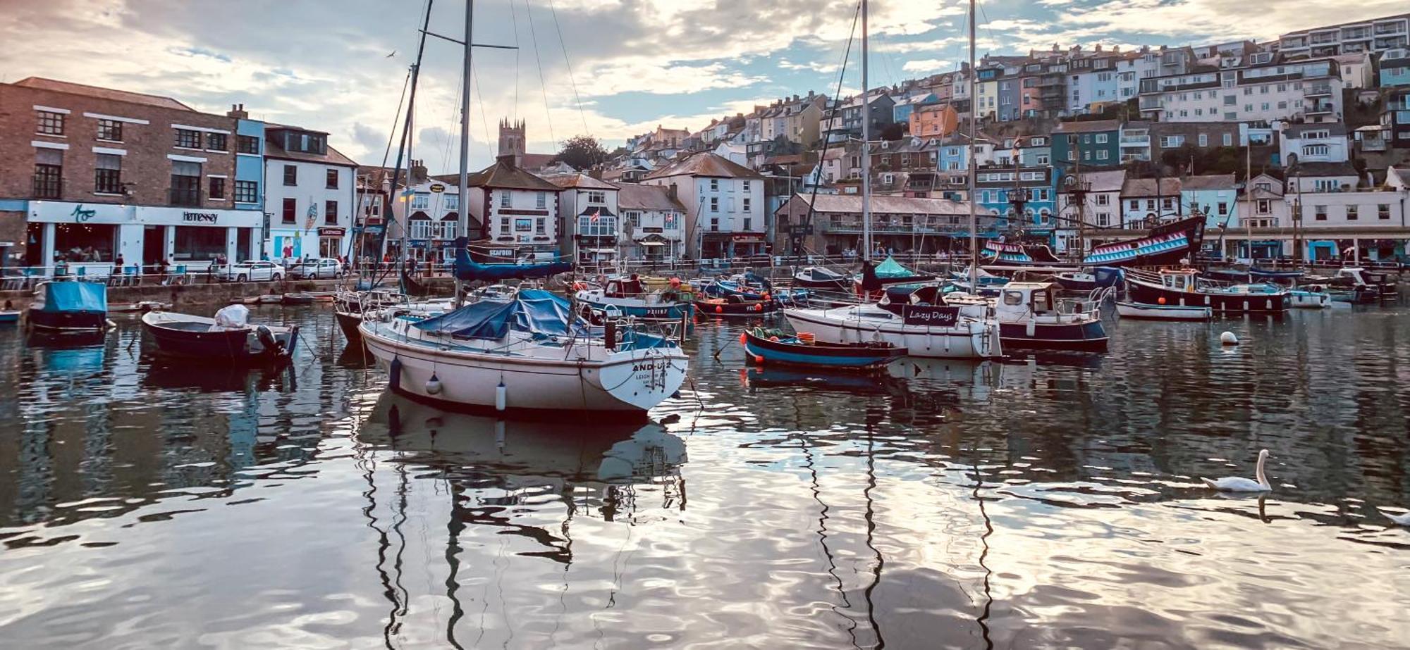 Driftwood B&B Brixham Dış mekan fotoğraf