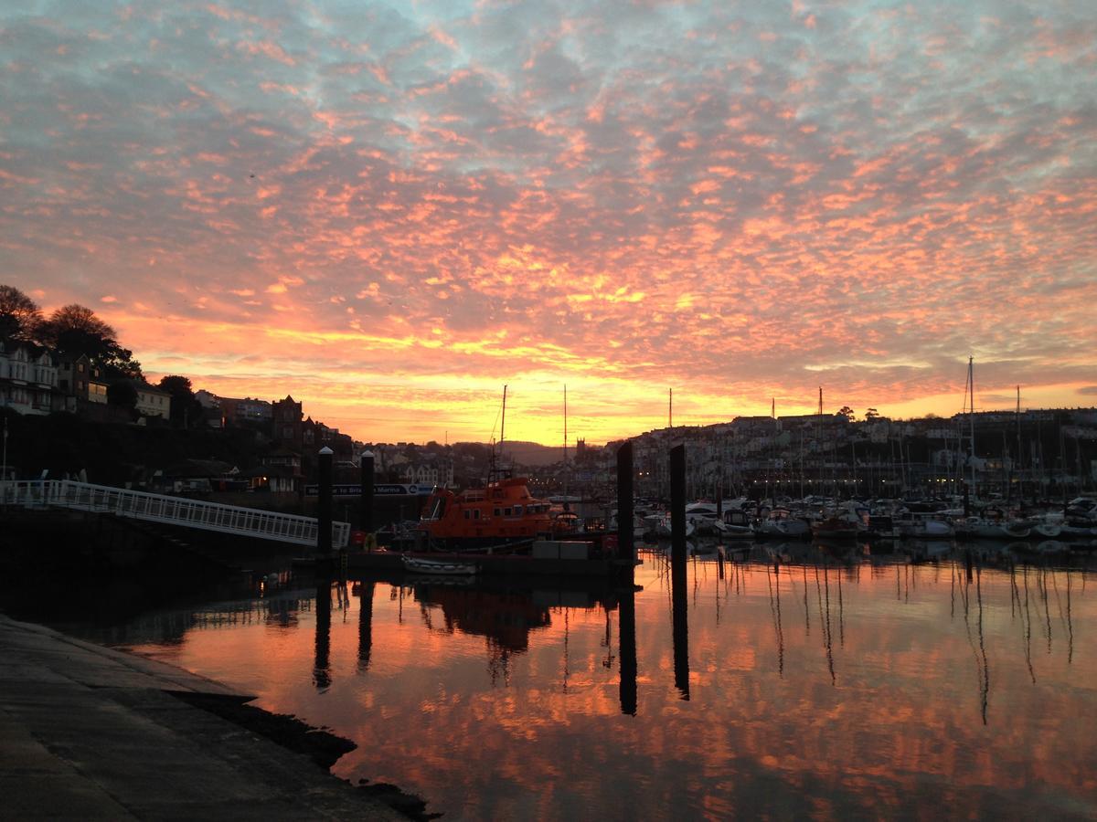 Driftwood B&B Brixham Dış mekan fotoğraf